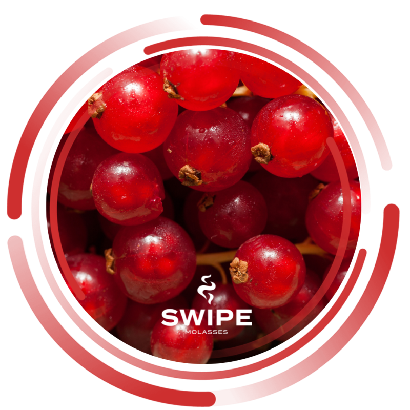 Swipe 50г Currant