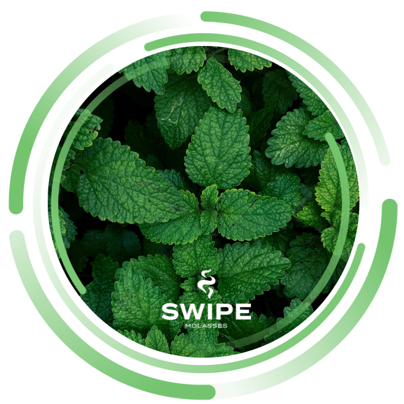 Swipe Mint (М`ята) 50г