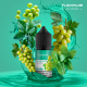 Набір Flavorlab PE 10000 Grapes Mint (Виноград М`ята) 30мл 50мг