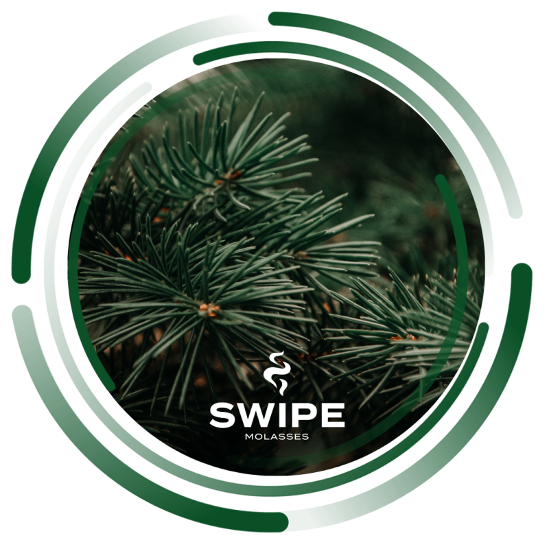 Swipe 50г Easy Needles