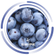 Swipe Blueberry (Чорниця) 50г